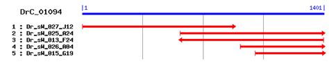 vvaaaq|Planaria EST Database.